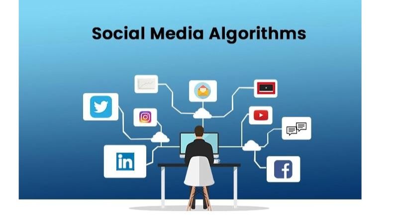 How Social Media Algorithms Work