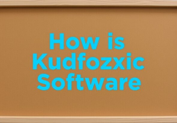 how is kudfozxic software